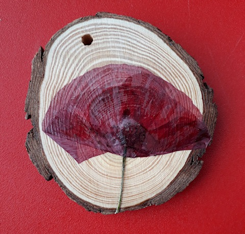 Photo of a red Pressed poppy on wooden disk