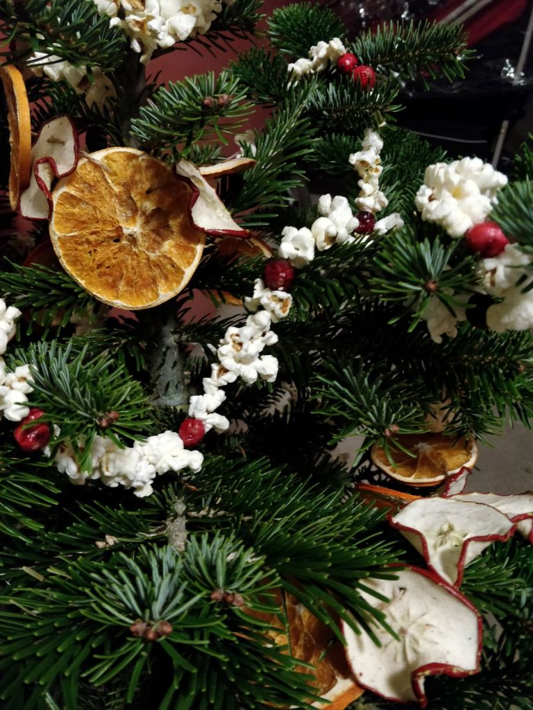 close up of the popcorn and cranberry and orange and apple slice garlands on an evergreen tree.
